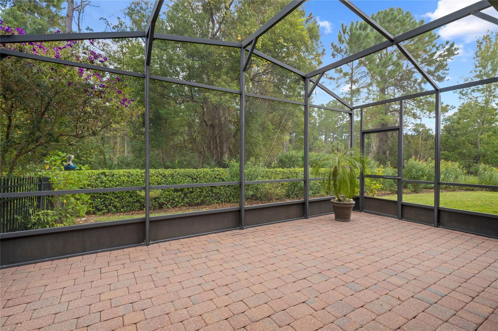 View of spacious backyard &amp; conservation area views