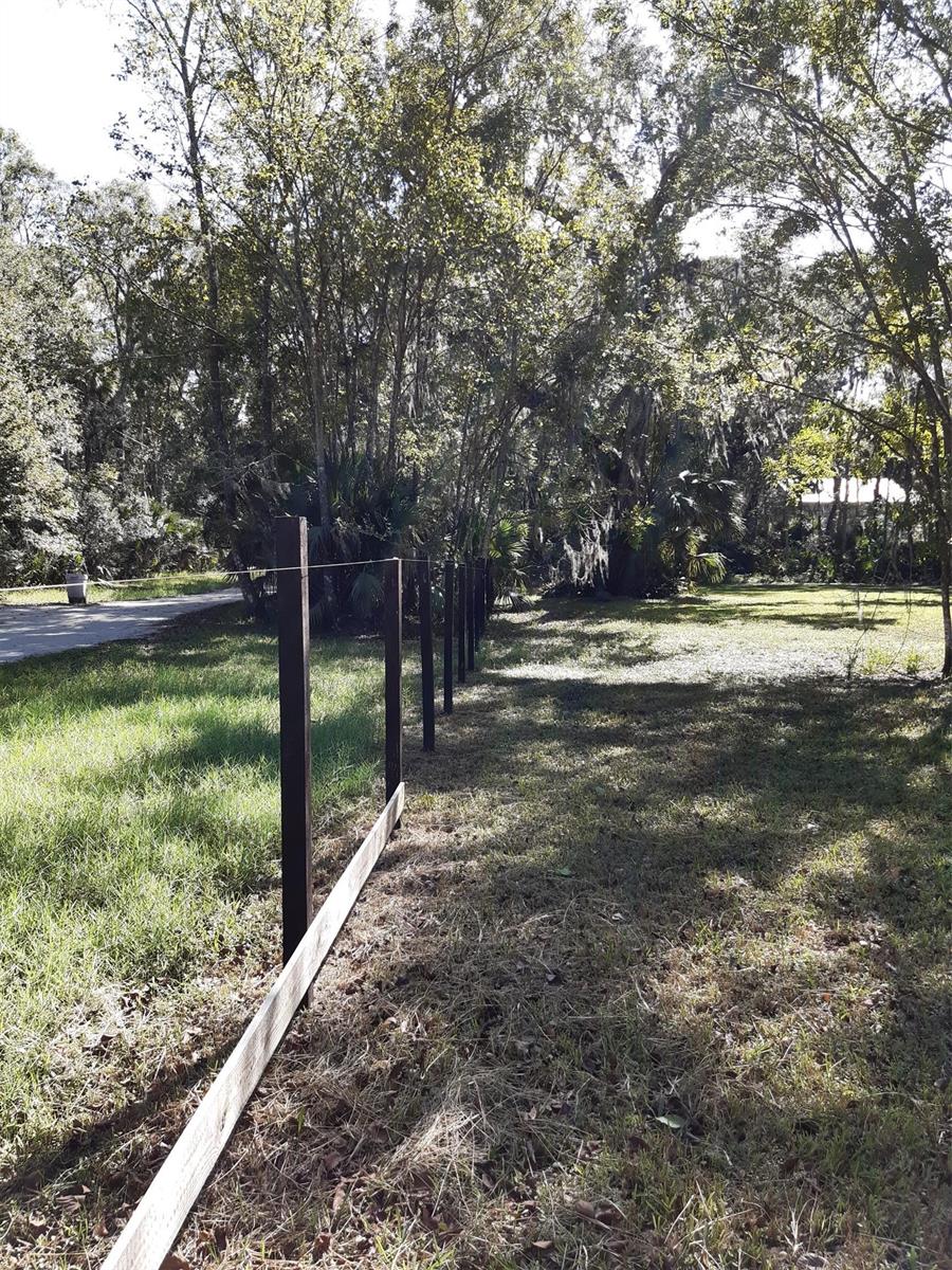 Planting area
