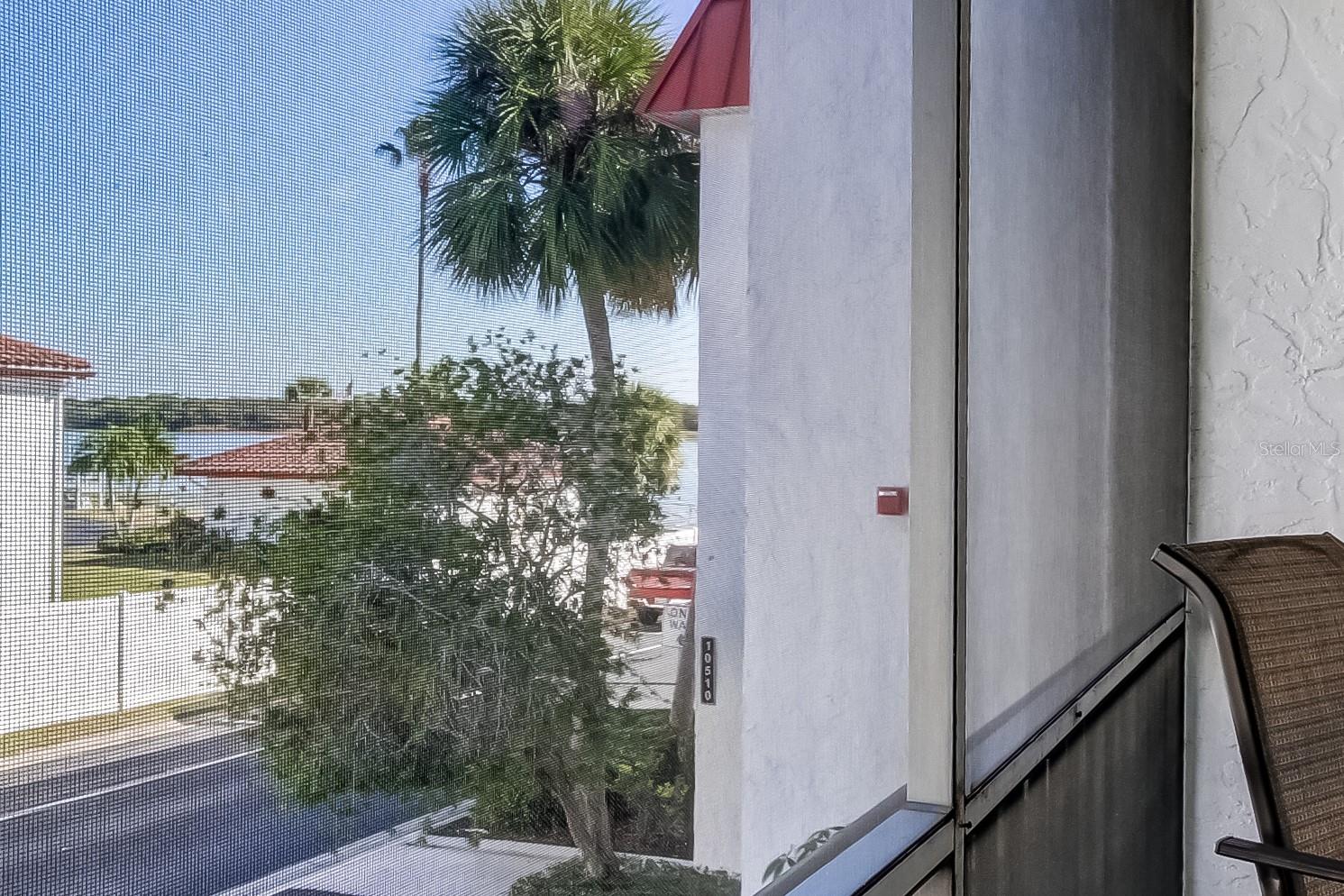View of Lake Seminole