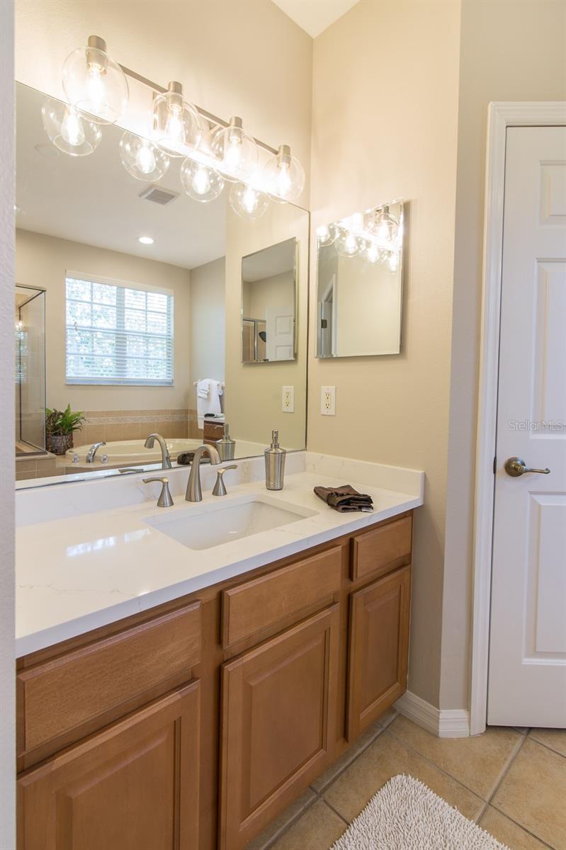 New Quartz Counters, Faucets, Lighting and Toilet