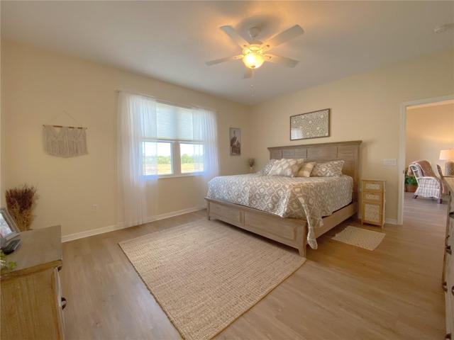 Master Bedroom with new windows