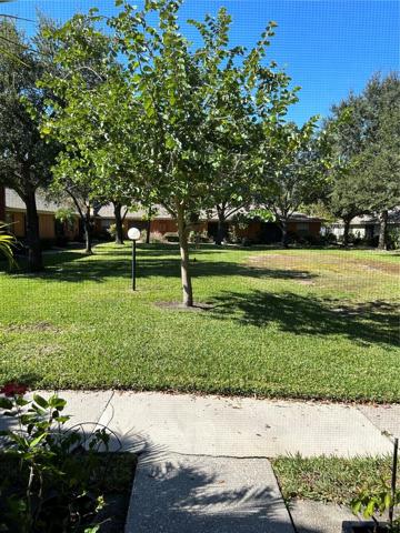 View from living room and patio.