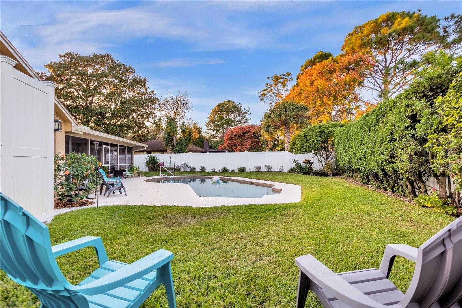 Large Back Yard