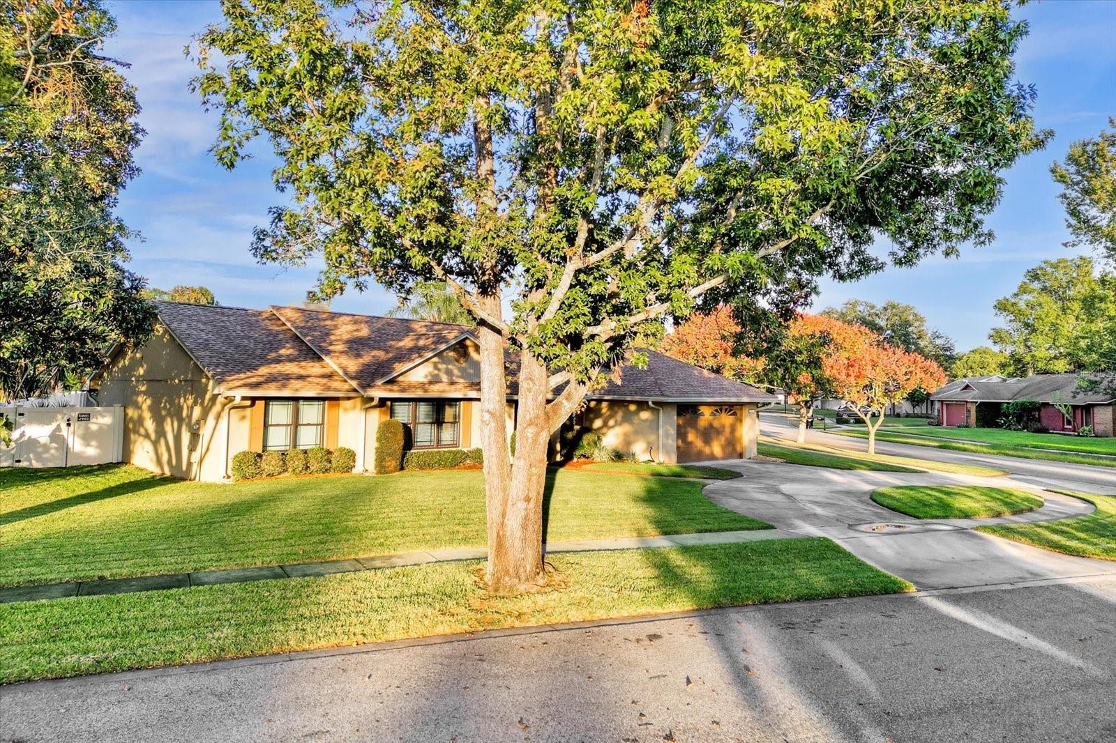 Street View Of Home