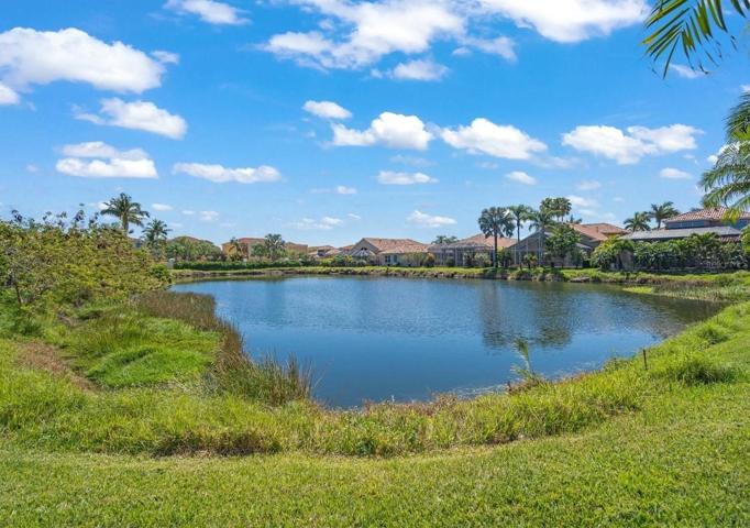 pond