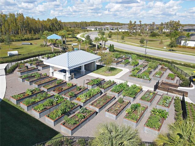 Community Garden