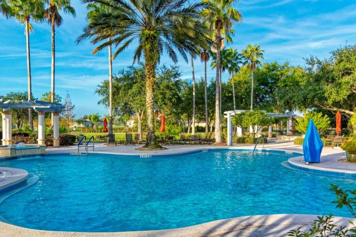 Palms Pool