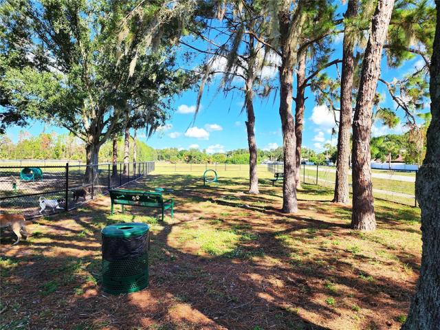 Dog Park