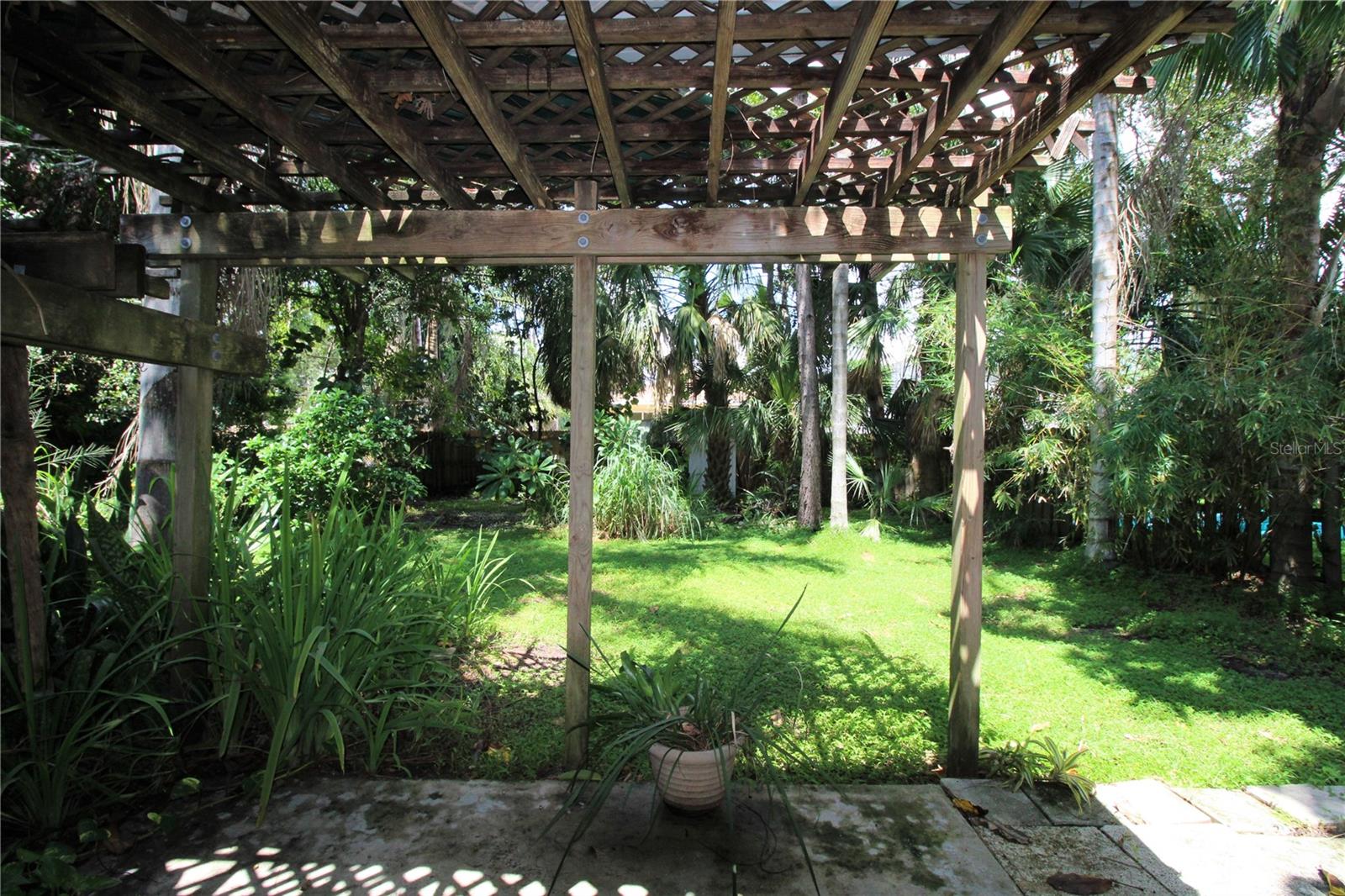 BACK YARD