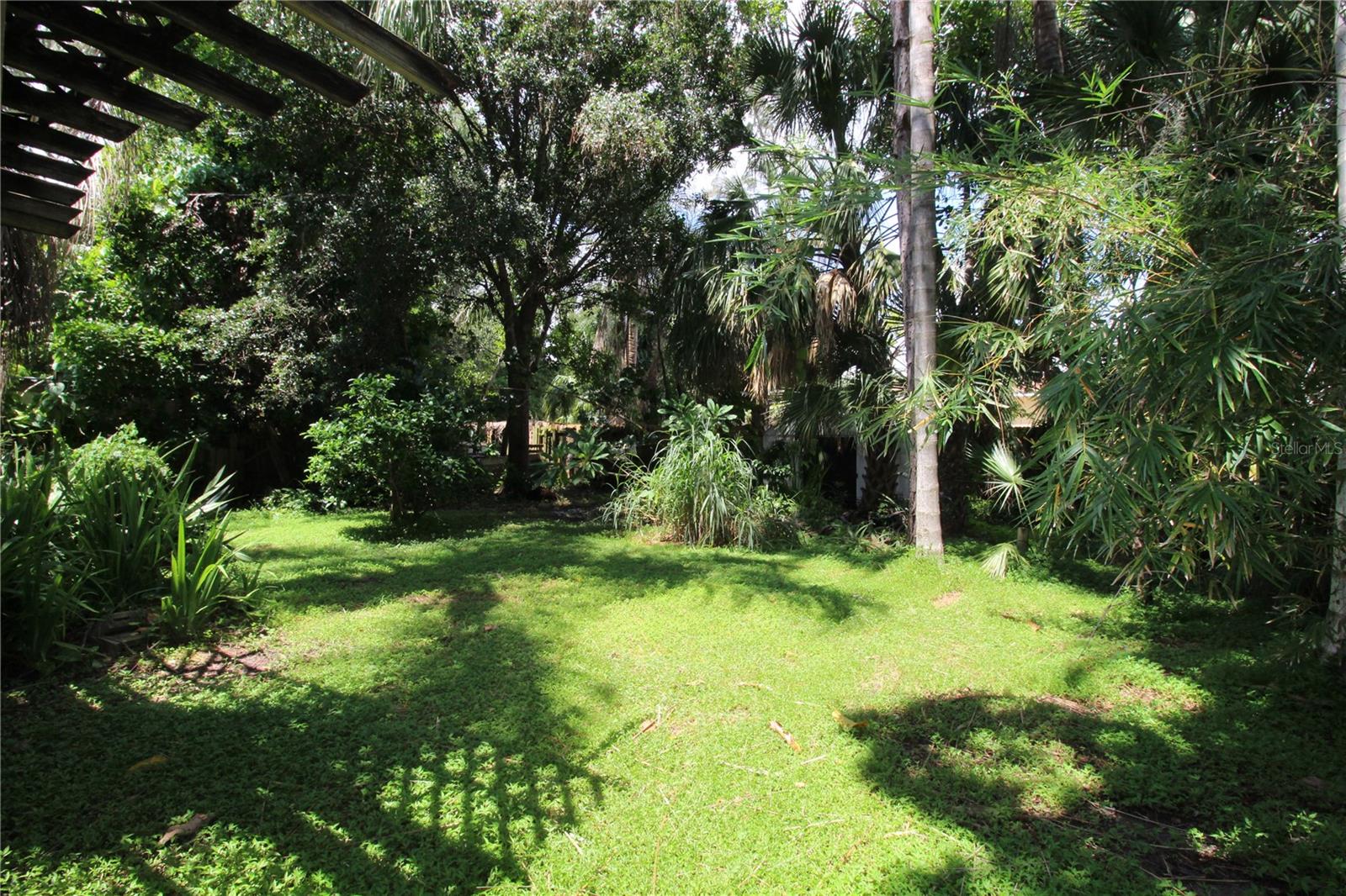 BACK YARD
