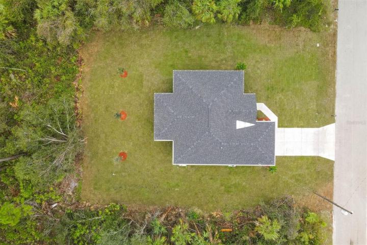 Birdseye