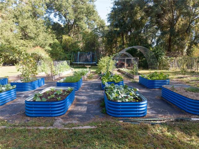 RAISED BED VEGETABLE GARDEN