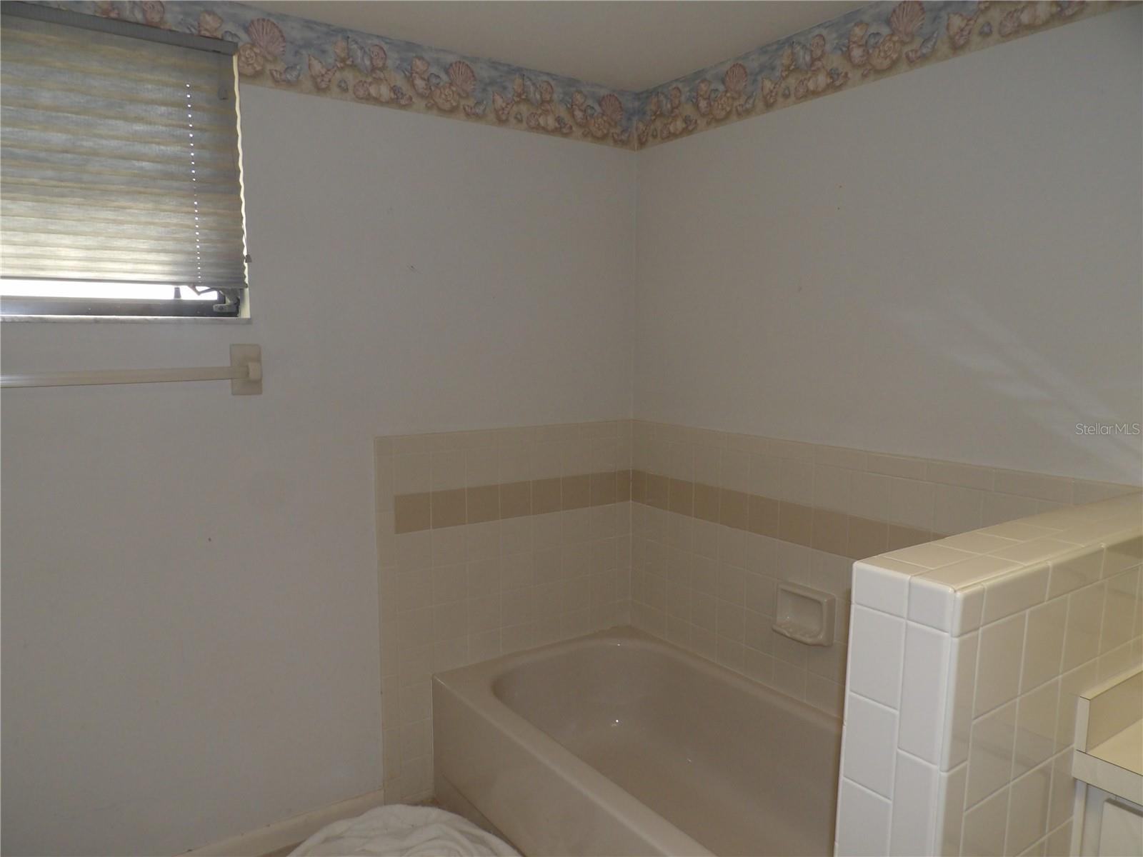 Master bath tub