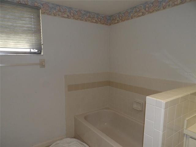 Master bath tub