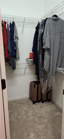 Primary Bdrm Walk-in Closet