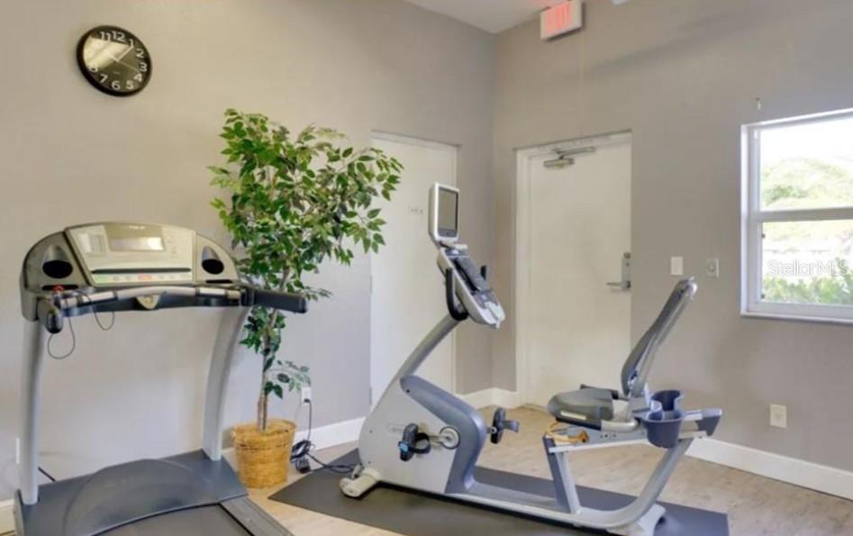 gym equipment