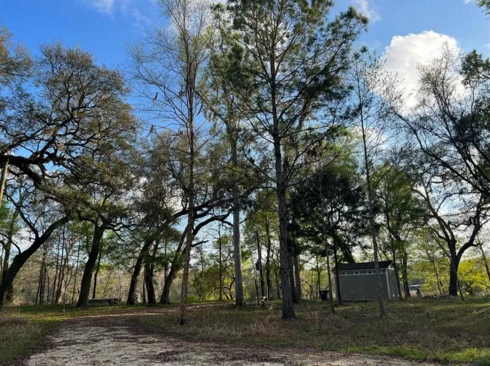 Bell, Florida 32619, 0 , 0 ,0,Land,For Sale,82ND,0,O6156588