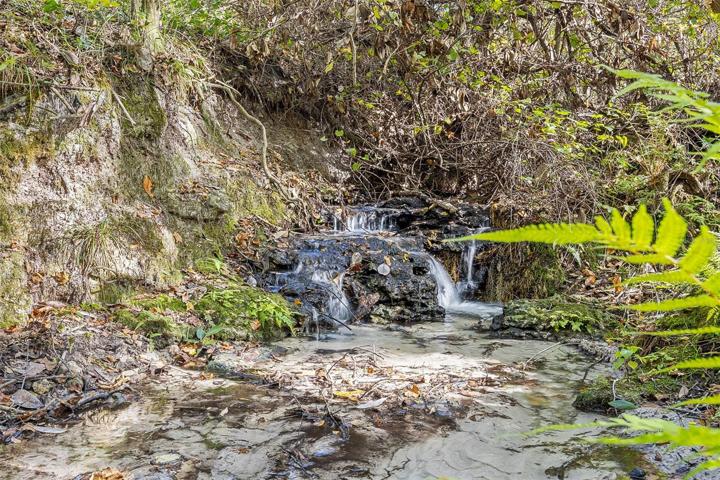 Spring Fed Waterfall