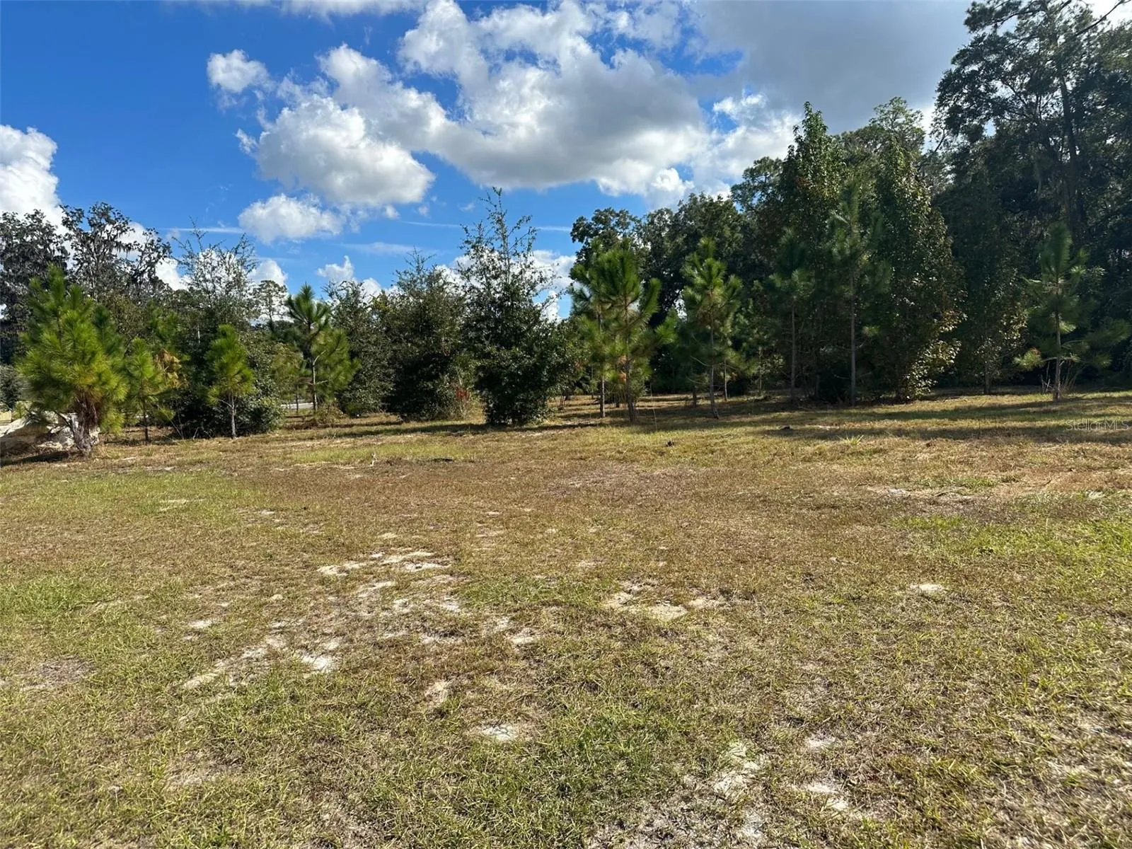 Gainesville, Florida 32607, 0 , 0 ,0,Land,For Sale,24TH,0,GC517479