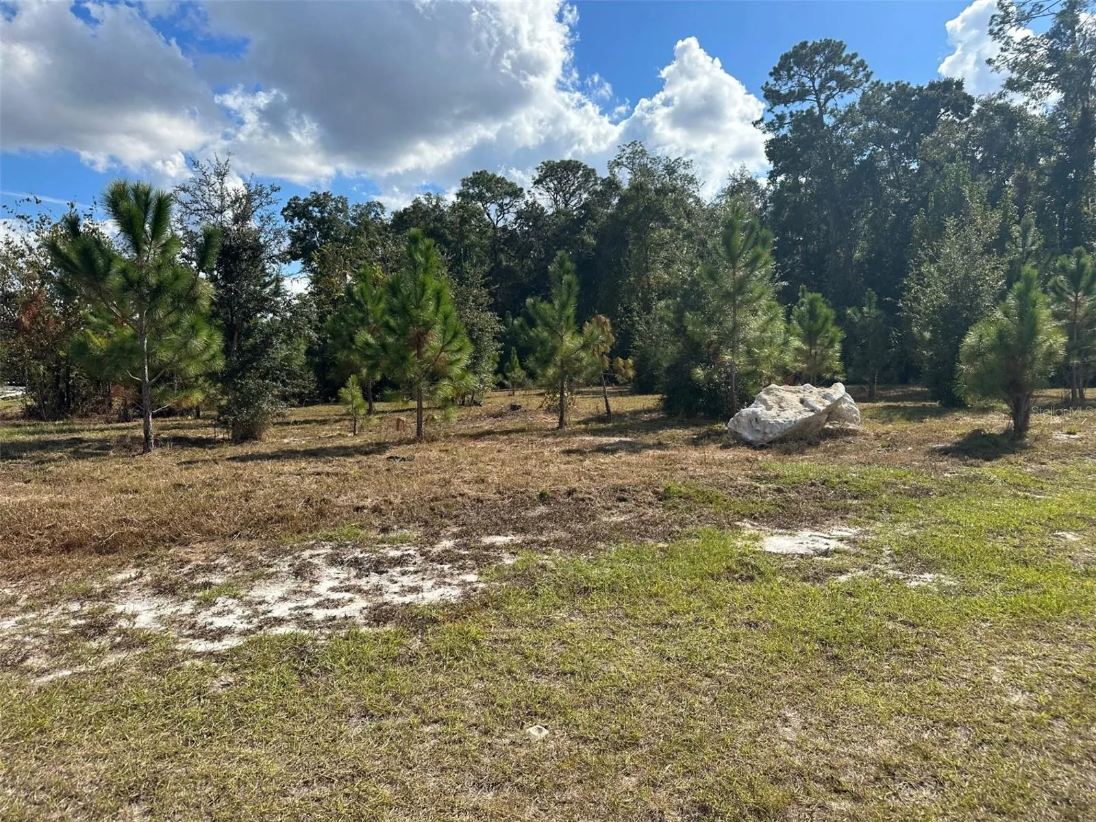 Gainesville, Florida 32607, 0 , 0 ,0,Land,For Sale,24TH,0,GC517479