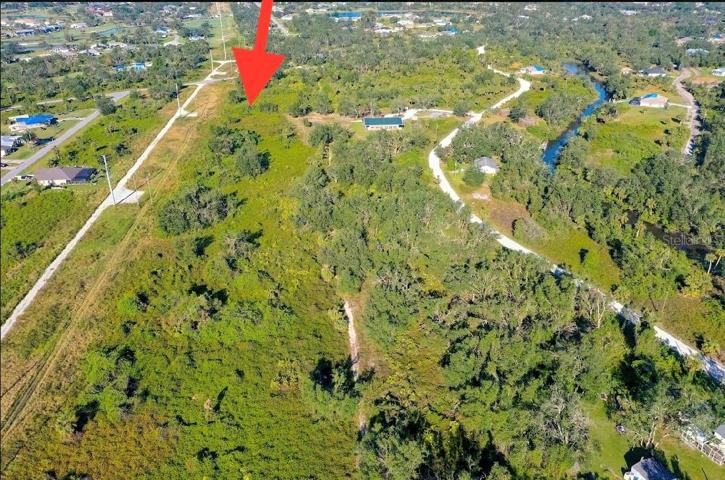 Arrow shows the approximate location