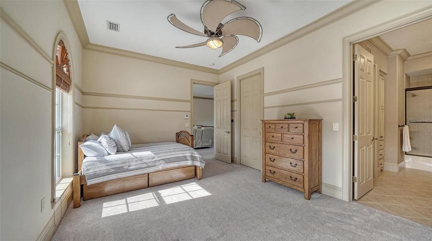 Upper level luxurious bedroom with Jack & Jill bath.