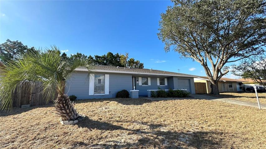 .Front of the property