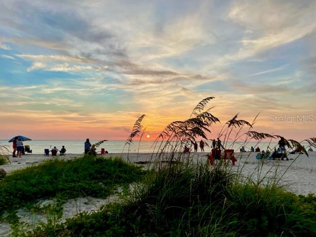 SIESTA DUNES