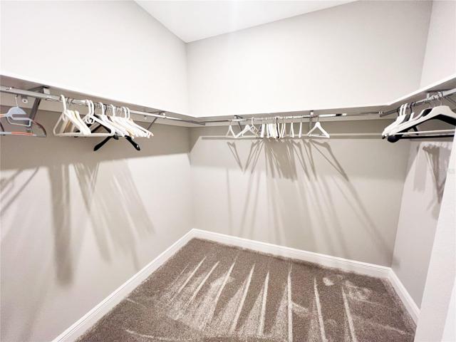 Main bedroom walk in closet