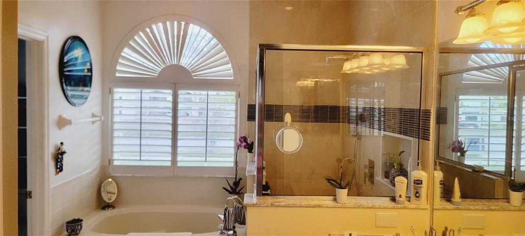 Master Bathroom2