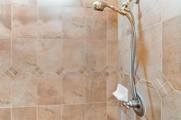 Guest Bath with Walk-in Shower