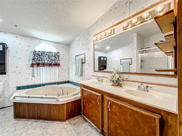 Large garden tub and sink