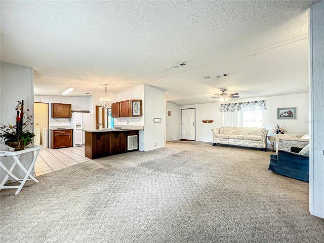 Living room and kitchen