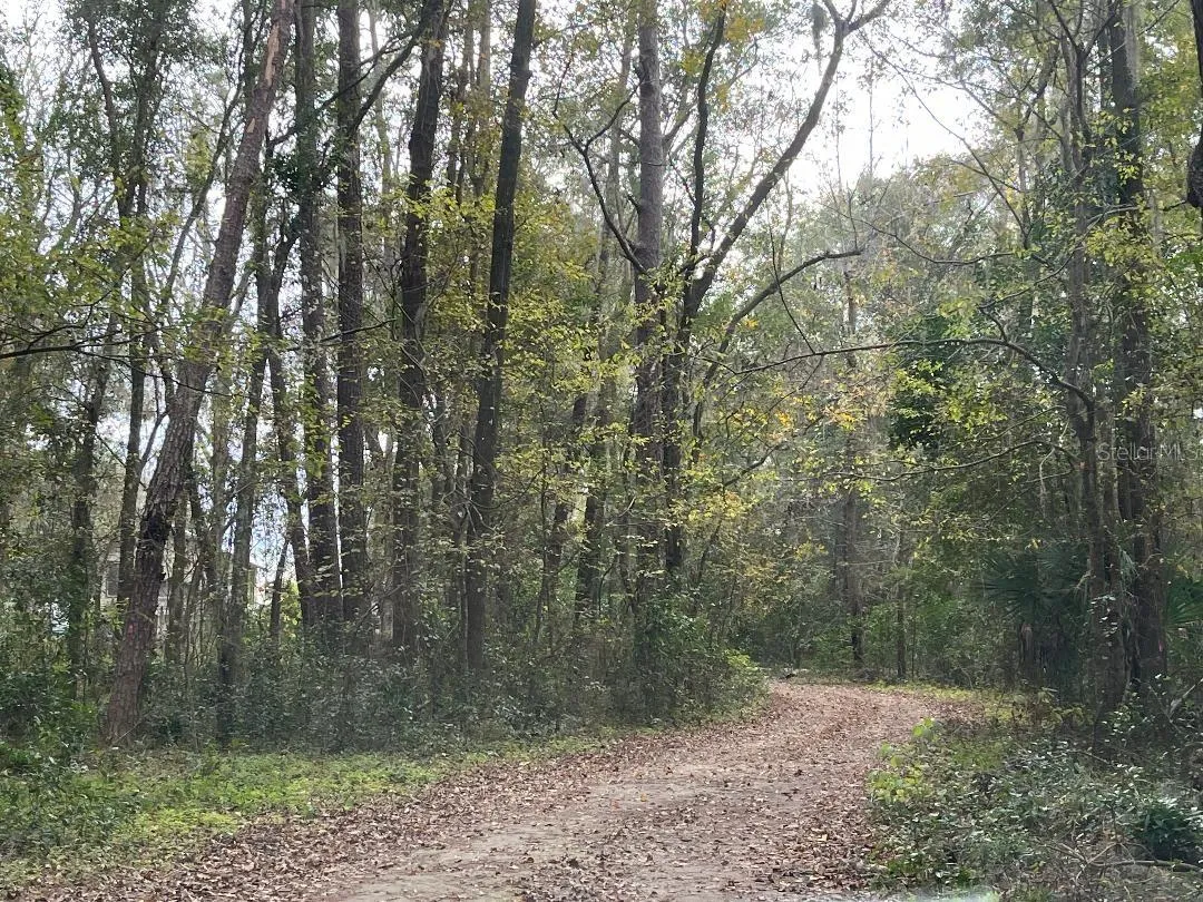 Gainesville, Florida 32608, 0 , 0 ,0,Commercial Sale,For Sale,WILLISTON,0,GC517526