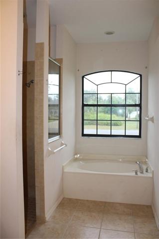 Garden tub and Shower