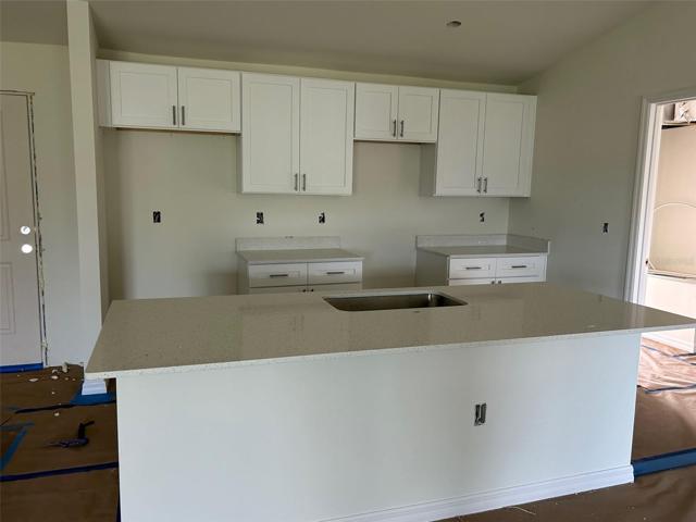 wood shaker cabinets with quartz countertops throughout (actual house under construction)