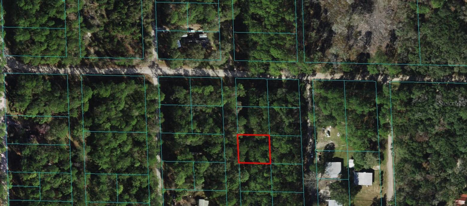 Citra, Florida 32113, 0 , 0 ,0,Land,For Sale,66TH,0,OM667991