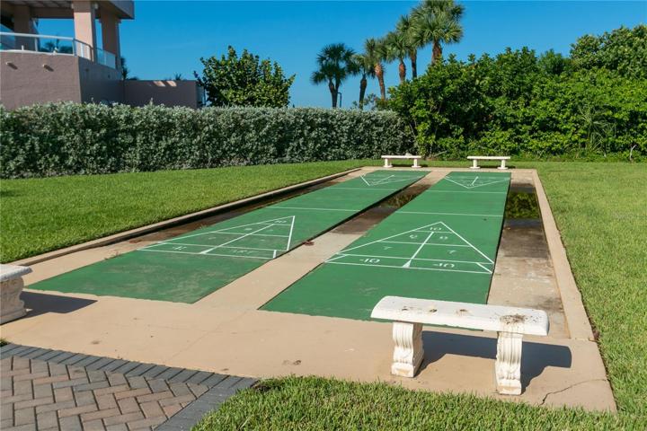 Shuffleboard
