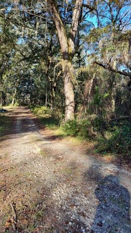 DRIVEWAY ENTRANCE