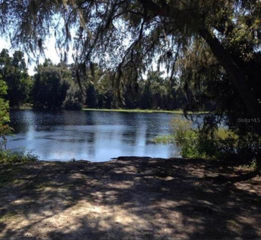 View of the lake