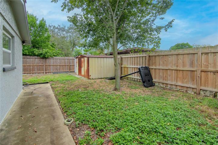Backyard 4