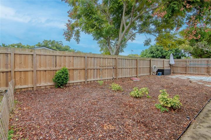 Backyard 2