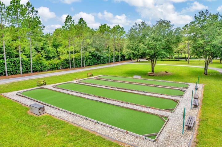 Bocce ball anyone