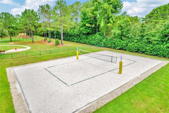How about volleyball