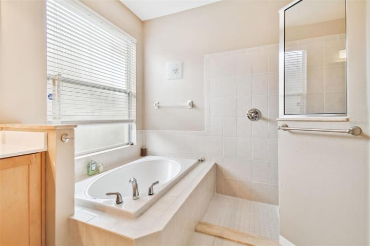 Garden Tub-Walk in Shower