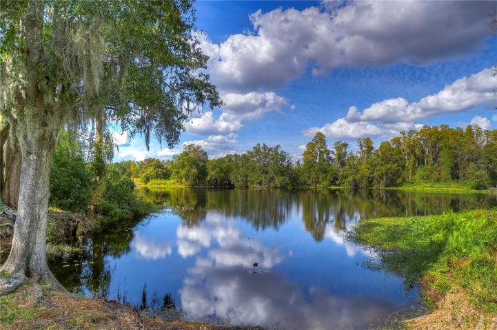 Serene Lake