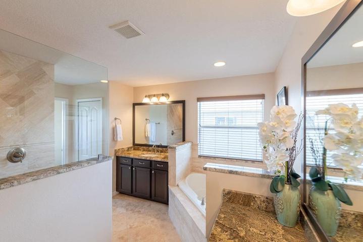Large main bathroom with all the bells and whistles