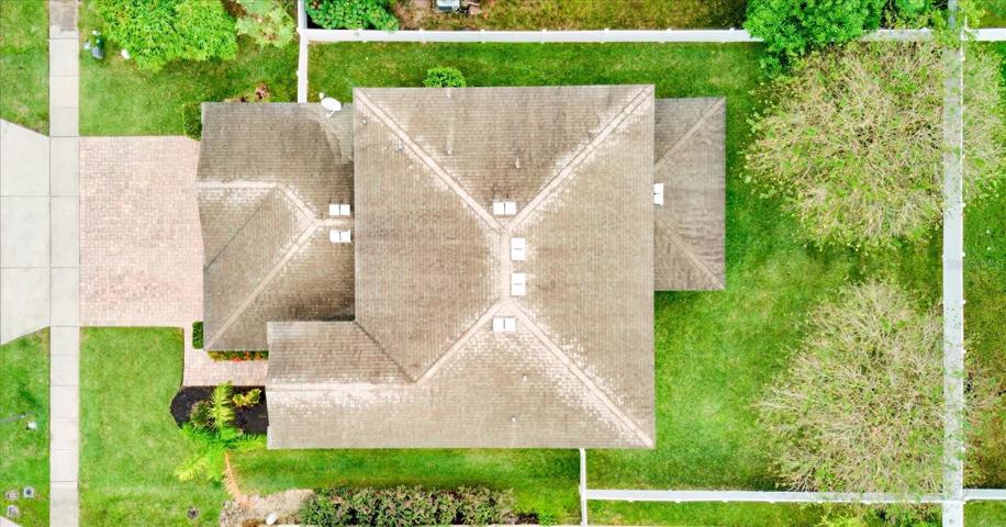 A bird's eye view