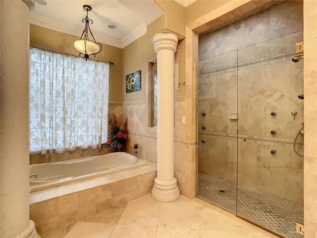 10549 Cory Lake Dr, ground floor owner's suite bath, jacuzzi tub and shower with dual shower controls and heads.