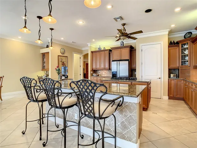 10549 Cory Lake Dr, kitchen, breakfast bar